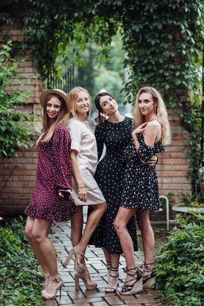 Vier schöne Mädchen werden fotografiert — Stockfoto