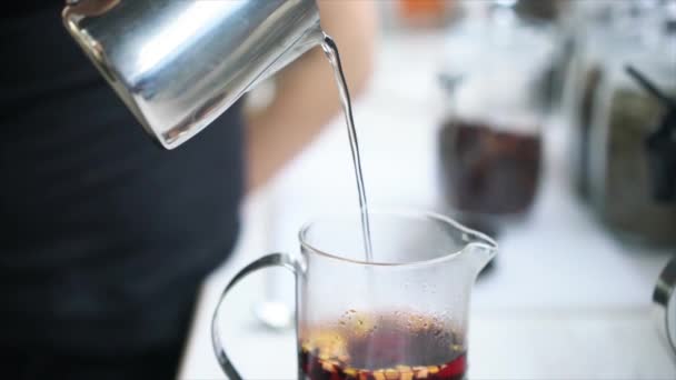 Barista fazendo chá na imprensa francesa, vista de perto — Vídeo de Stock