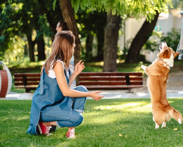 Retrato de mujer con perro Galés Corgi Pembroke en parque de perros — Foto de Stock