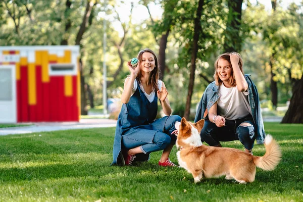 Zwei Freundinnen im Park spielen mit kleinem Hund — Stockfoto