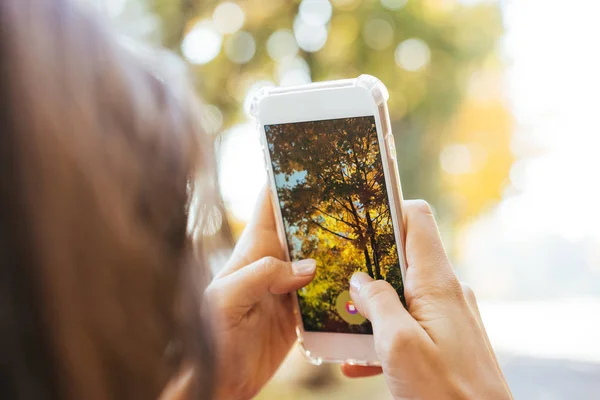 女性が通りに秋の木の写真を取る — ストック写真