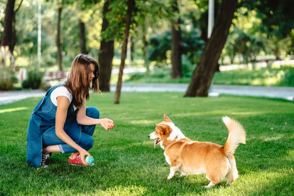 Porträtt av kvinna med hund walesiska Corgi Pembroke i hund park — Stockfoto