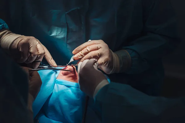 Cirujano y su asistente realizando cirugía estética en la nariz — Foto de Stock