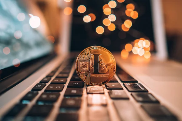 Lightcoin coin money on computer laptop keyboard