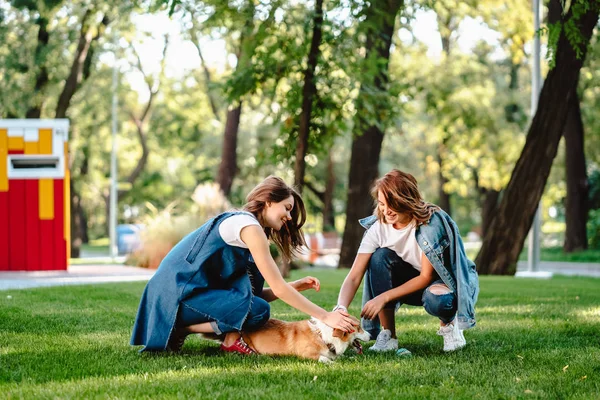 Dwie przyjaciółki w parku bawią się z małym psem. — Zdjęcie stockowe