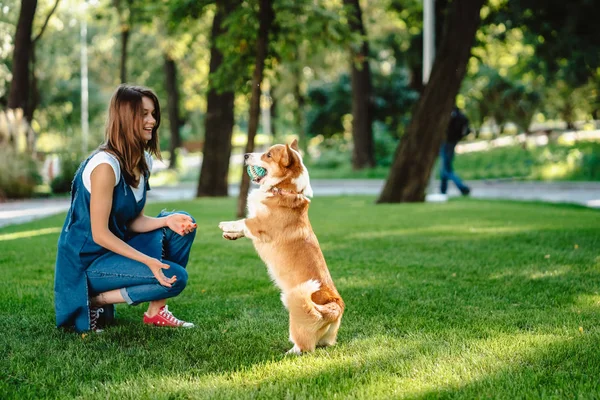 Porträt einer Frau mit Hund Welsh Corgi Pembroke im Hundepark — Stockfoto