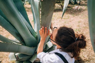 Büyük aloe vera yaprakları poz mutlu güzel kızın arkadan görünüm