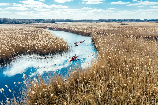 Grupo de personas en kayaks entre cañas en el río de otoño . — Foto de Stock