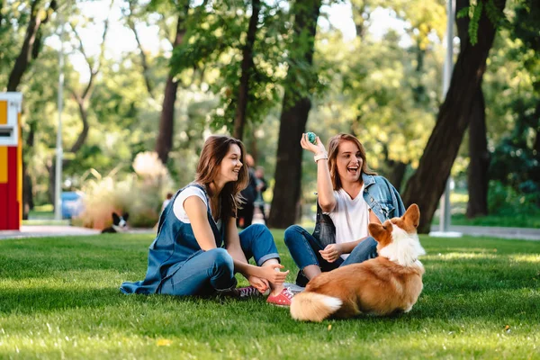 Dos amigas en el parque juegan con un perrito — Foto de Stock