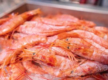 Dondurulmuş karides vitrinde. Seçici odak.