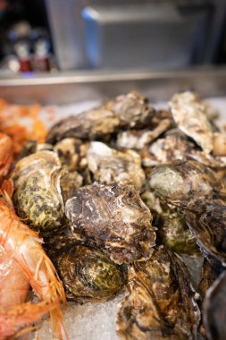 Buz ile sayaçta taze kapalı istiridye