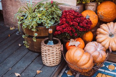 Kabaklar ve çiçeklerle bir Avrupa şehri bir sokakta sonbahar dekorasyon