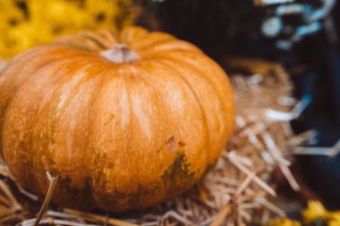 Kabaklar bir Avrupa şehri bir sokakta ile sonbahar dekorasyon