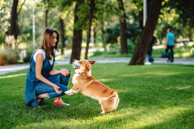 Köpekli kadın portresi Welsh Corgi Pembroke köpek parkında