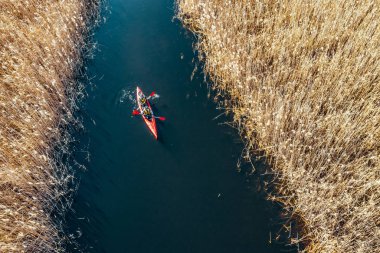 Bir grup insan kayaks sazlık sonbahar Nehri üzerinde arasında.