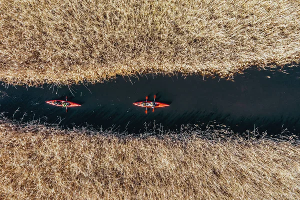 Grupo de pessoas em caiaques entre juncos no rio de outono . — Fotografia de Stock