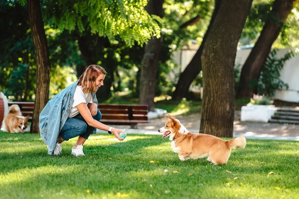 Porträtt av kvinna med hund walesiska Corgi Pembroke i hund park — Stockfoto