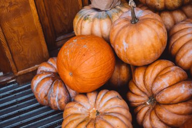 Birçok büyük turuncu kabak saman içinde yalan. Sonbahar sokak dekorasyon. Kabaklar tatil için hazırlanan sonbahar hasat