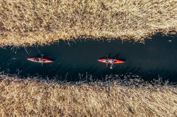 Grupo de pessoas em caiaques entre juncos no rio de outono . — Fotografia de Stock