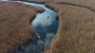 Bir grup insan kayaks sazlık sonbahar Nehri üzerinde arasında.