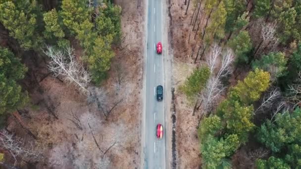 Çatı rack ağaçları arasında yolda sürüş üzerinde kayaklar ile birkaç otomobil — Stok video