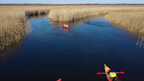 Група людей на байдарках серед очерету на осінній річці . — стокове відео