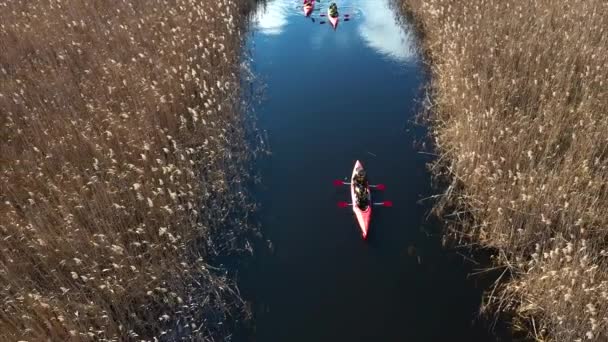 Gruppe von Menschen in Kajaks im Schilf auf dem Herbstfluss. — Stockvideo