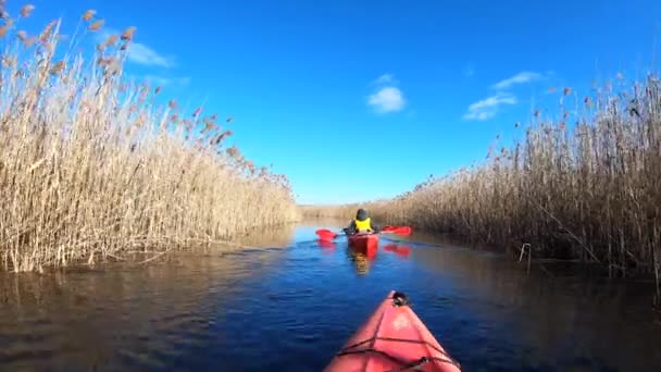 Grupo de personas en kayaks entre cañas en el río de otoño . — Vídeo de stock