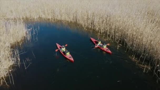 Grupo de personas en kayaks entre cañas en el río de otoño . — Vídeos de Stock