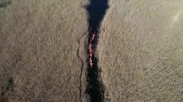 Група людей на байдарках серед очерету на осінній річці . — стокове відео