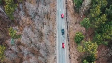Çatı rack ağaçları arasında yolda sürüş üzerinde kayaklar ile birkaç otomobil