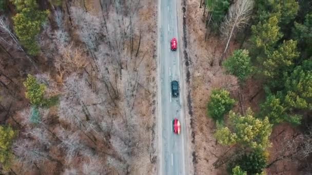 Çatı rack ağaçları arasında yolda sürüş üzerinde kayaklar ile birkaç otomobil — Stok video