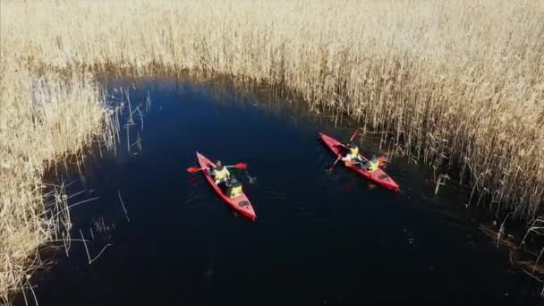 Grupo de personas en kayaks entre cañas en el río de otoño . — Vídeo de stock
