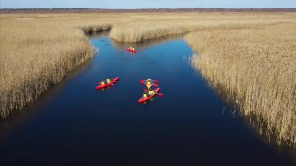 Grupp människor i kajak bland vass vid floden hösten. — Stockvideo