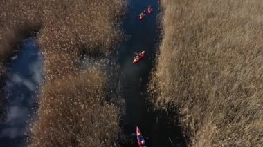 Bir grup insan kayaks sazlık sonbahar Nehri üzerinde arasında.