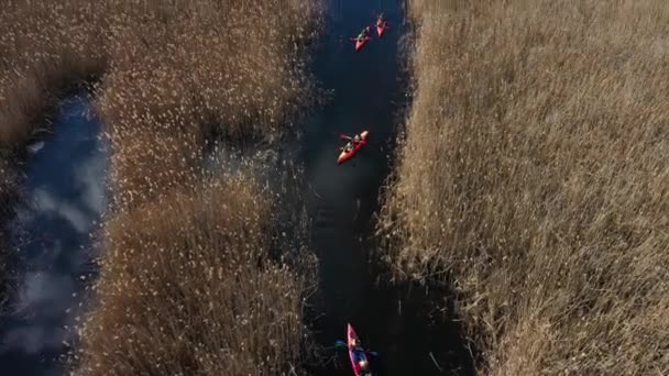 Skupina lidí v kajaky rákosí na řece podzimní. — Stock video