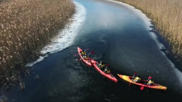 Gruppe von Menschen in Kajaks im Schilf auf dem Herbstfluss. — Stockvideo