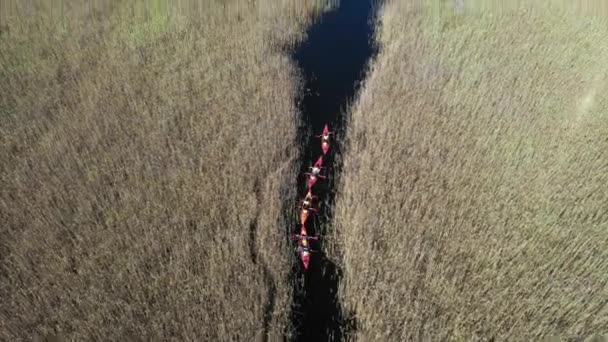 Grupo de personas en kayaks entre cañas en el río de otoño . — Vídeos de Stock