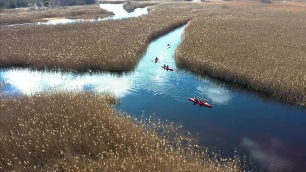 Bir grup insan kayaks sazlık sonbahar Nehri üzerinde arasında. — Stok video