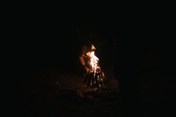 Beau feu dans la forêt sur fond noir . — Photo