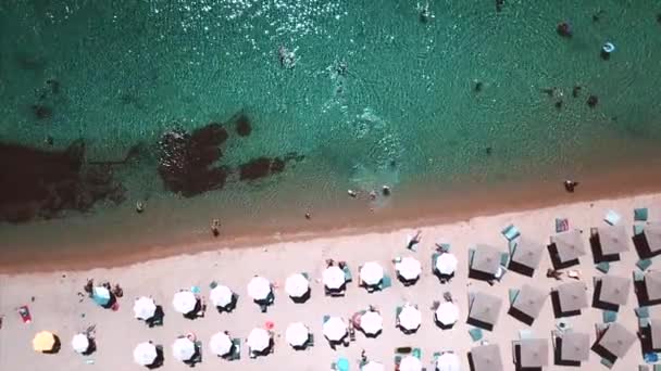 Plage avec chaises longues sur la côte de l'océan — Video