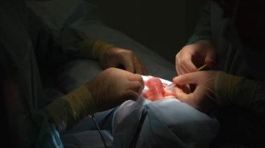 Cerrah ve burnuna estetik ameliyat asistanı