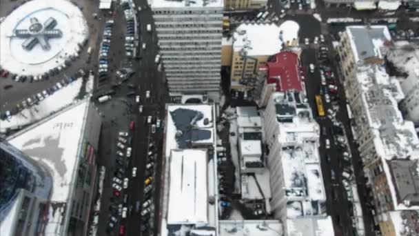 野鳥の目線から見た大都会の街並み — ストック動画