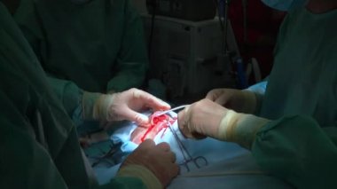 Cerrah ve burnuna estetik ameliyat asistanı