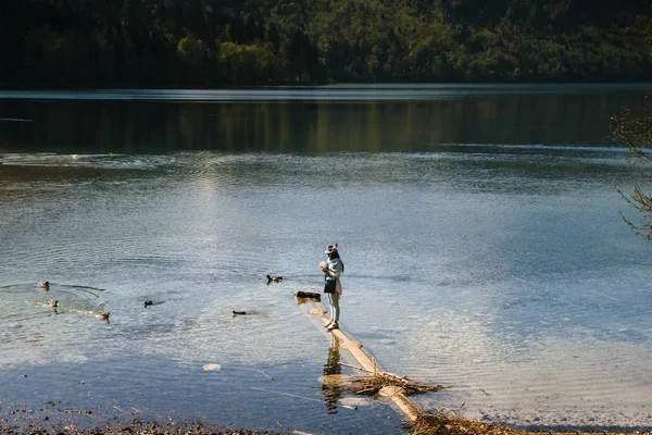 Молодая красивая девушка кормит утку у озера — стоковое фото