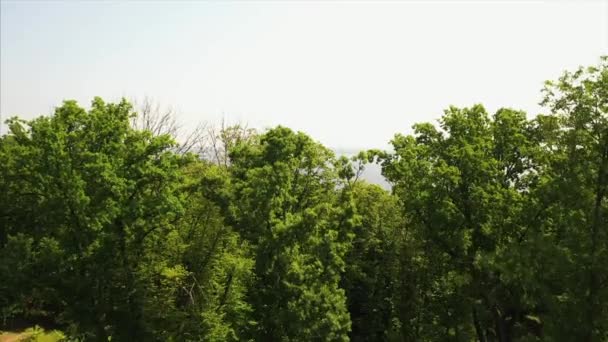 Pohled Aero na velké jezero obklopené lesem. — Stock video