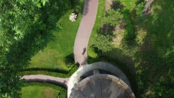 Athlète femme jogging dans le parc. Femme sportive à l'entraînement du matin 