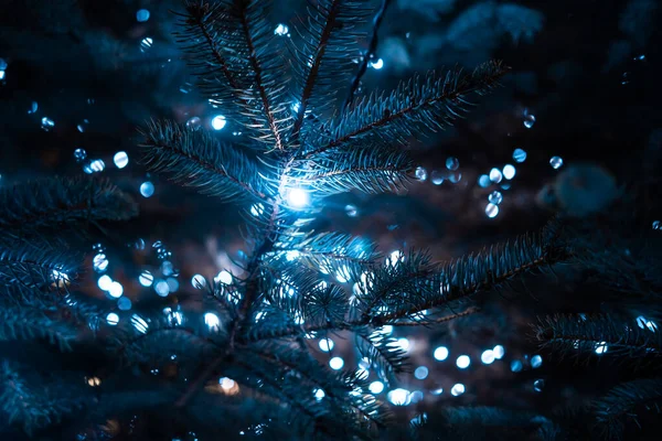 Рождественская елка с конусами на городской улице, освещенной гирляндой. — стоковое фото