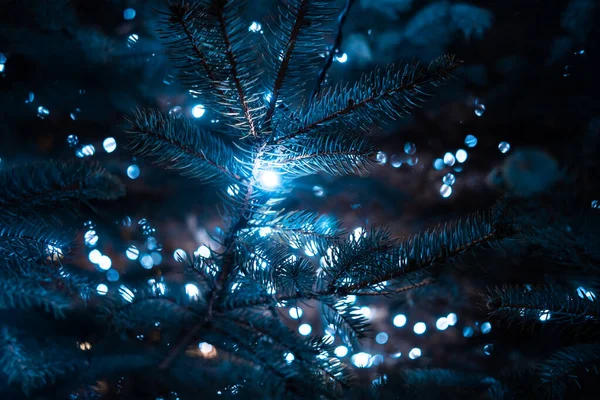 Christmas tree with cones on a city street illuminated with a garland. — Stock Photo, Image