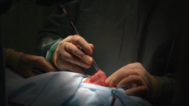 Cerrah ve burnuna estetik ameliyat asistanı